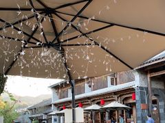 -比顿咖啡(和顺古镇店)