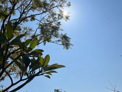 -白石龙音乐公园