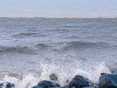 -上海吴淞炮台湾国家湿地公园
