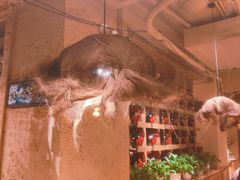 -泥糊破店小酒馆·团建聚餐(南京西路店)