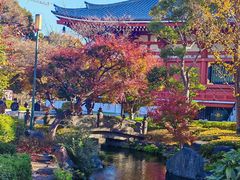 -浅草寺