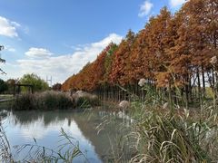 -柳鹭田园区