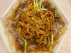 肉丝拉皮-九花山烤鸭店