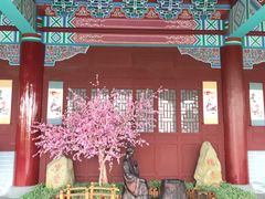 -厦门方特梦幻王国