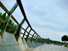 -南翔镇银翔湖公园