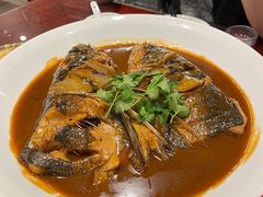 -邵年鸽(杨庄店)
