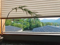 -宴武夷·匠心闽味(印象大红袍店)
