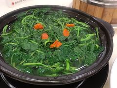 西洋菜-凤凰楼酒家·粤宴点心(华强北店)