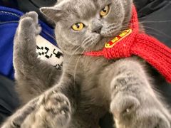 -ID.PHOTO照相馆(嘉里企业中心店)