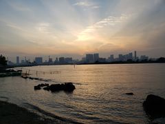-台场海滨公园船码头