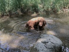 -碓臼峪自然风景区