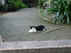 -重庆工商大学(南岸校区)