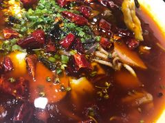 毛血旺-庆合府重庆大排档(紫都城店)