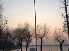 -丁香湖公园