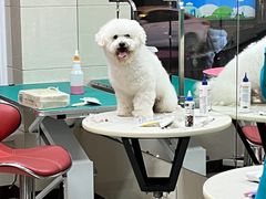 -北京观赏动物医院·24小时大型综合·猫专科·异宠专科