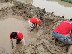 -上海海湾国家森林公园