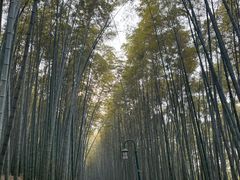 -宝石山