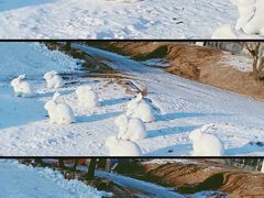 -棋盘山冰雪大世界