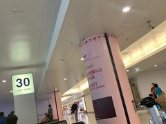 -河内内排国际机场