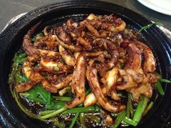 铁板鱿鱼-听涛雅苑百味饺子老家菜馆