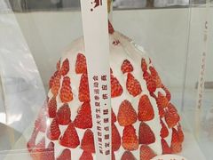-维尔纳斯·生日蛋糕·动物奶油冰淇淋蛋糕(六里桥店)