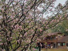 -阿哈湖国家湿地公园