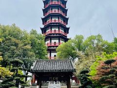 -绳金塔