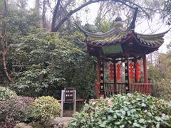 -杭州西湖风景名胜区-三生石
