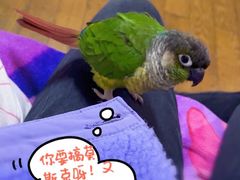 -怪兽屋·羊驼·猫咖·狗咖(俊华广场店)