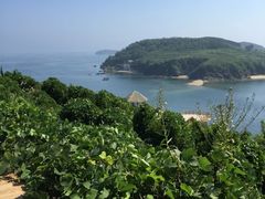 -大长山岛