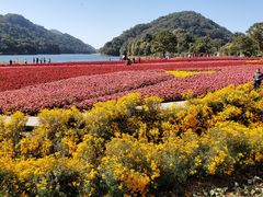 -广州市石门国家森林公园