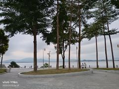 -深圳湾公园(南山区)