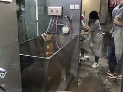 -PETKIT小佩宠物(昭化店)