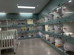 -萌宠之家·腊肠犬·马尔泰·小体犬舍