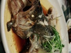 -紫光园·烤鸭·北京菜(劲松店)