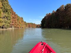 -上海海湾国家森林公园