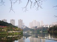 -重庆彩云湖湿地公园