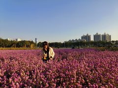 -二沙岛艺术公园