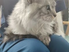 -博特宠物医院24h犬猫全科.骨科·异宠