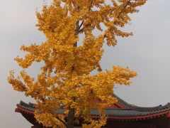 -大雁塔北广场音乐喷泉