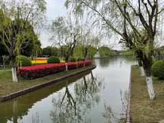 -上海鲜花港