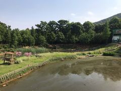 -无锡动物园·太湖欢乐园