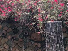 -厦门日月谷温泉渡假村