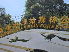 -西双版纳原始森林公园