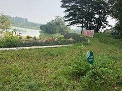 -奈雪的茶(中华广场店)