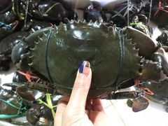 -海盗餐厅