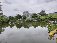 -扬美古镇景区