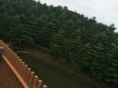 -迪茵湖田家舍生态农场
