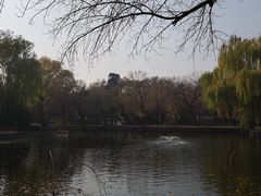 -钓鱼台国宾馆