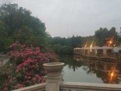 -成都南湖公园
